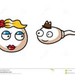 drawing of sperm and egg
