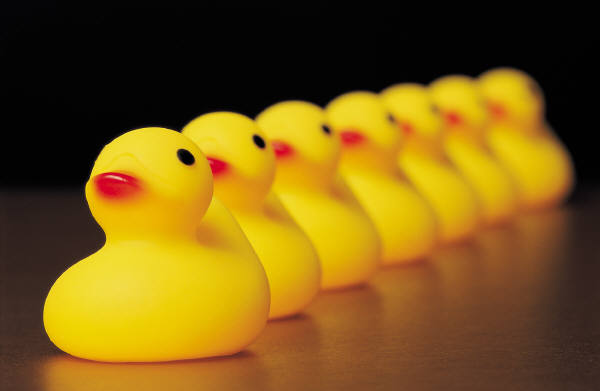 Considering Alternative Reproduction? Make Sure You’ve Got Your Alternative Reproduction Legal Ducks in a Row